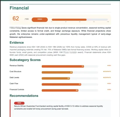 Financial risk-report detail with subcategories and evidence (evaluated company name anonymized)